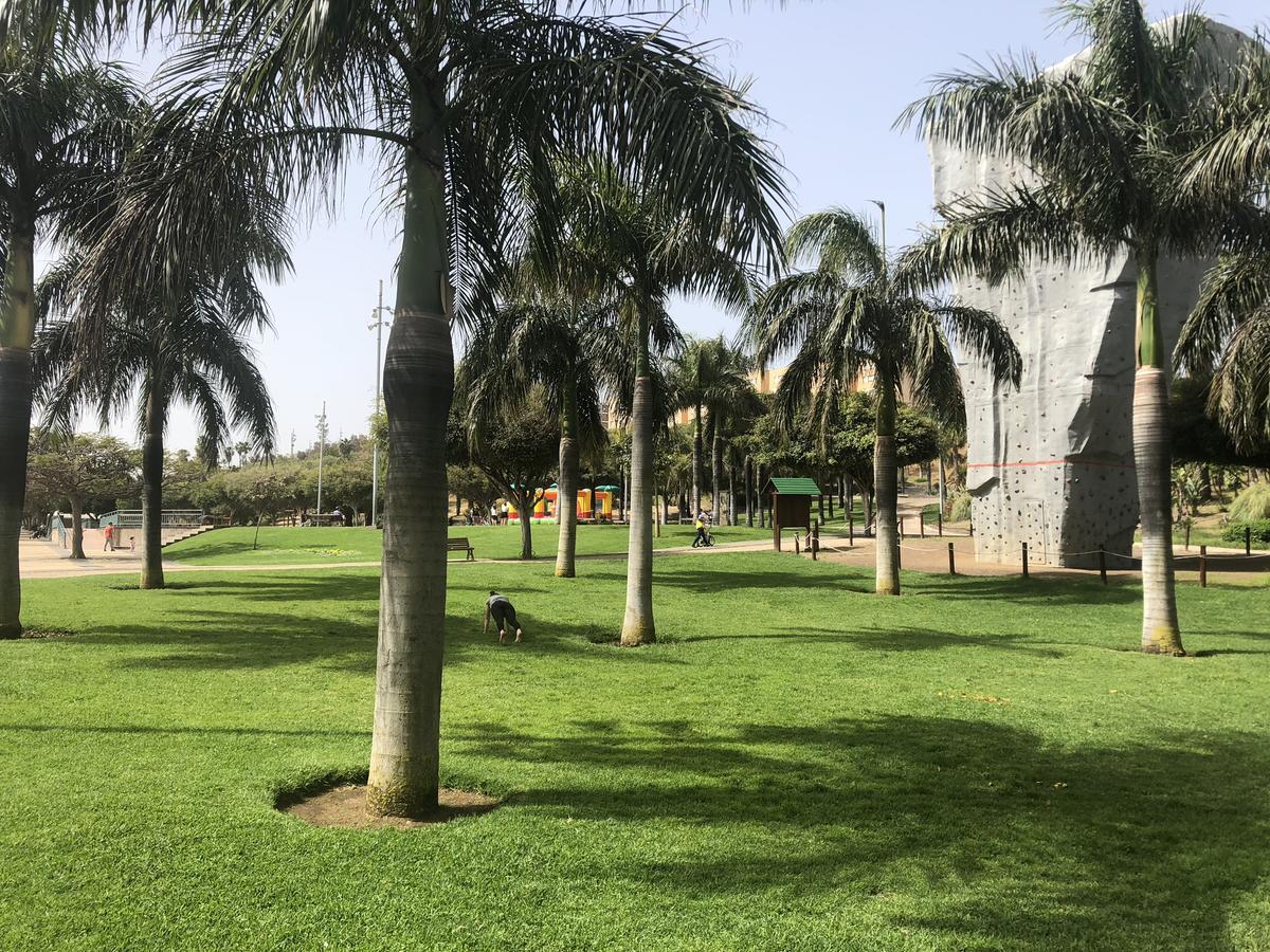 Perseus Vivienda Unifamiliar Con Terraza Y Jardin - Wifi - 3 Habitaciones - 2 Banos Las Palmas de Gran Canaria Zewnętrze zdjęcie